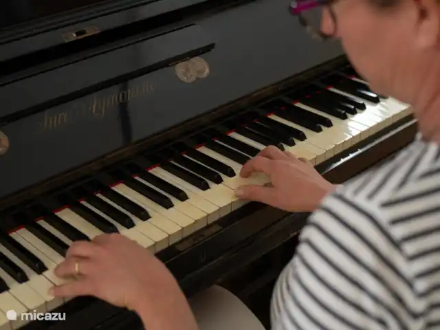 Vignot & Vin | Italie, Piémont, Costigliole d'Asti - maison de vacances PIANO DANS LE SALON