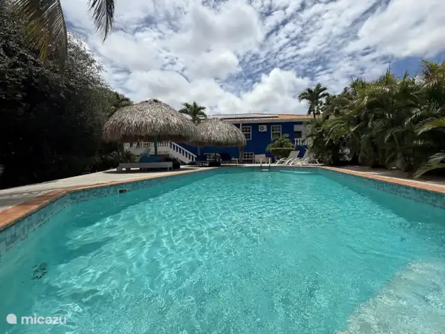 appartement in Curaçao, Banda Ariba (oost), Jan Thiel – The Green Turtle Eco Lodge B Zwembad