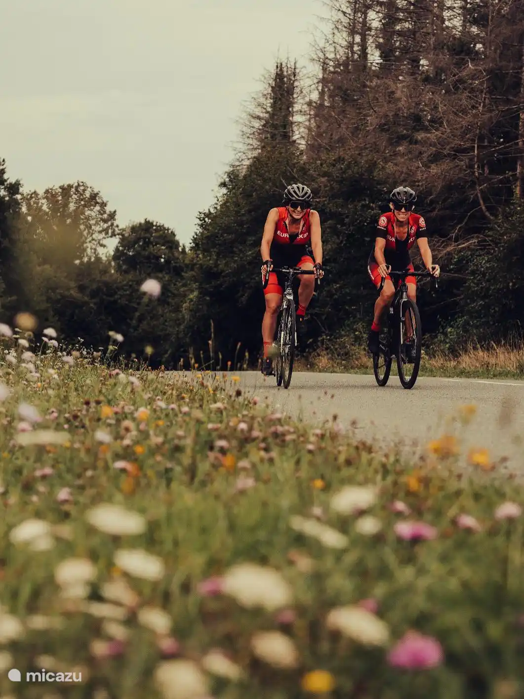Fietsen, mountainbiken en eindeloos wandelen in de streek.