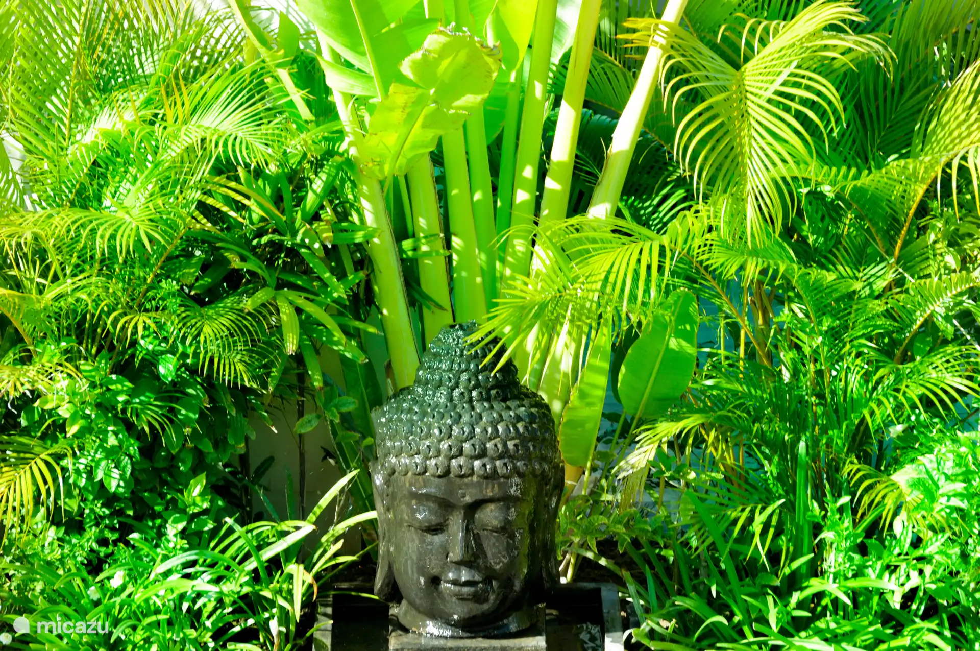 Ein Detail in unserem Hinterhof