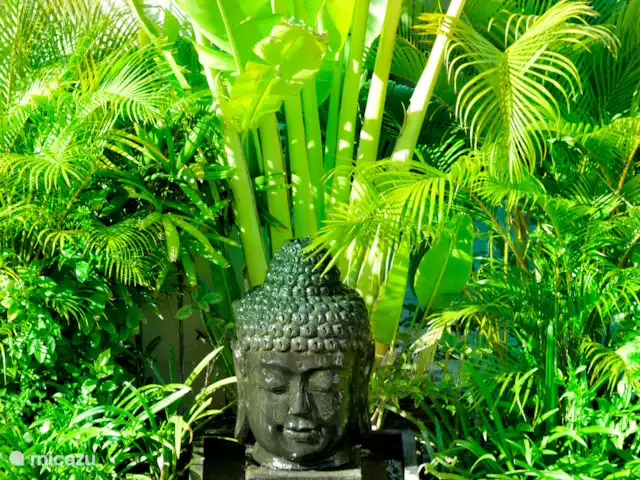 Villa Bossi @ Banjar en Indonesia, Bali, Selat-Buleleng - villa Un detalle en nuestro patio trasero