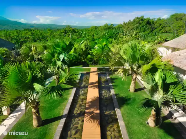 Villa Bossi @ Banjar en Indonesia, Bali, Selat-Buleleng - villa Nuestro patio trasero