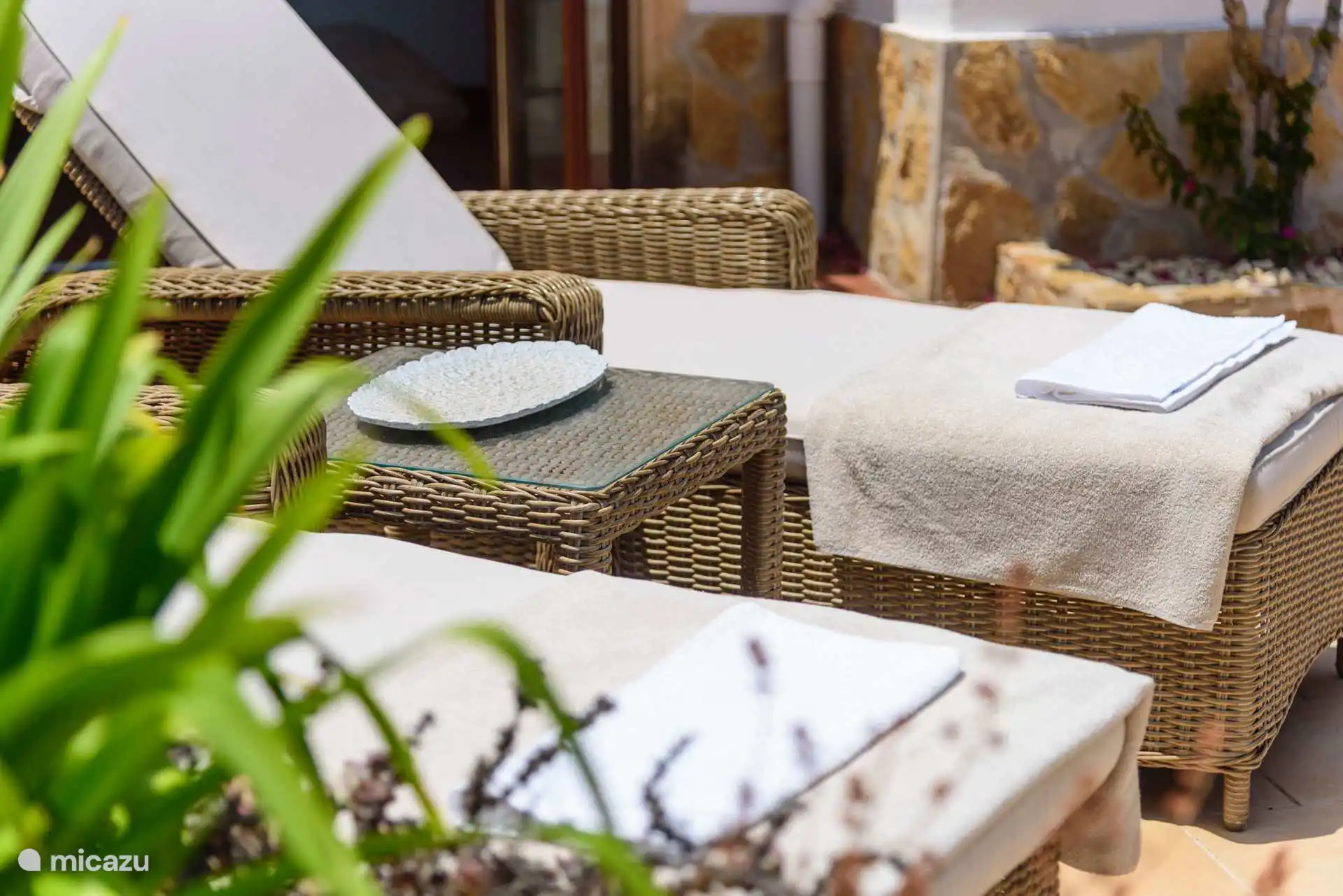 Villa Mariposa Garten