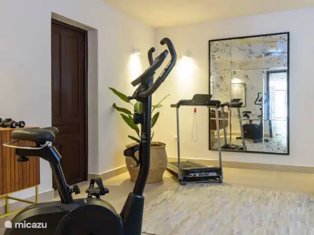 Villa Mariposa - Luxe Exclusif ! | Espagne, Costa Blanca, Jávea - villa Gymnase