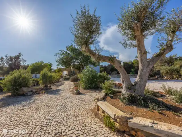 Casa da Paz en Portugal, Algarve, Pêra - villa Jardín