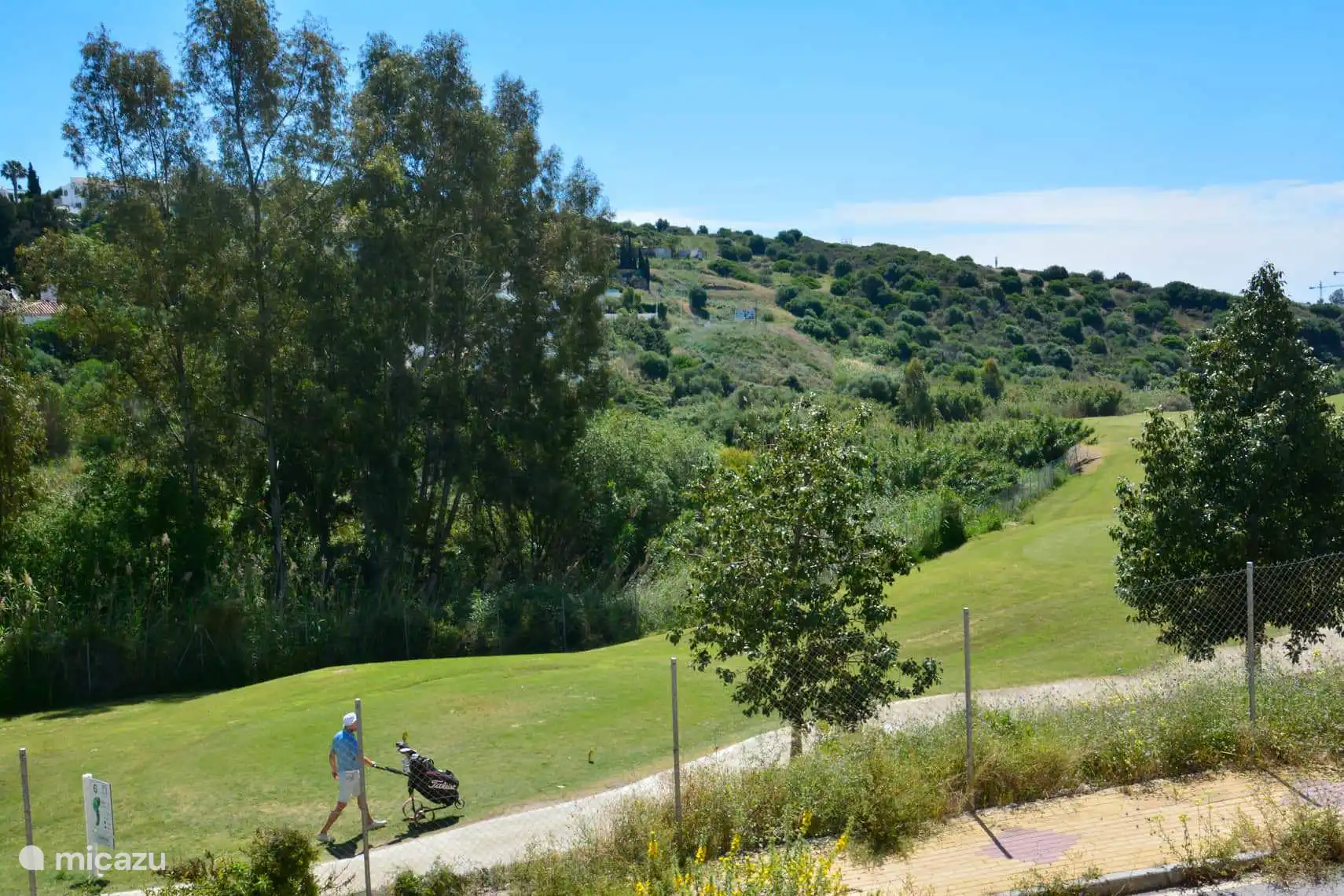 Une partie de notre vue depuis la terrasse couverte. C’est marrant, il se passe quelque chose ! 