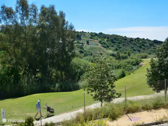 Searenityapartments huren in Spanje, Costa del Sol, Estepona - appartement Deel van ons uitzicht vanaf het overdekte terras. Het is leuk, er gebeurd wat !