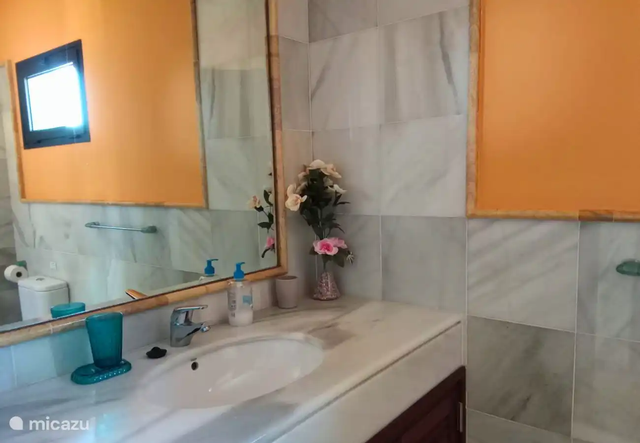 a bathroom with walk-in shower, toilet and sink