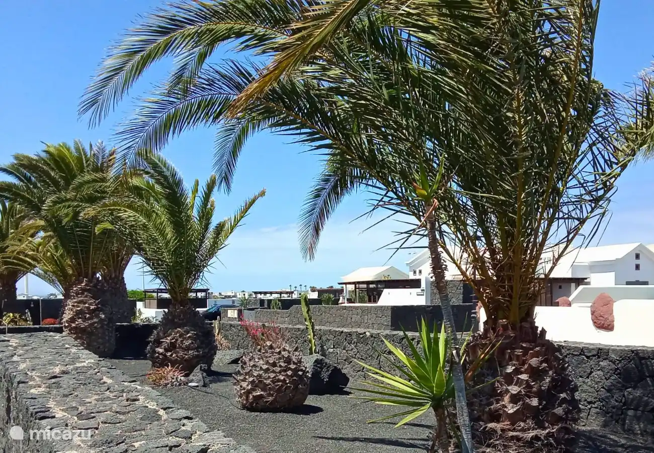 Around the villa is a lava garden with palms and cacti.