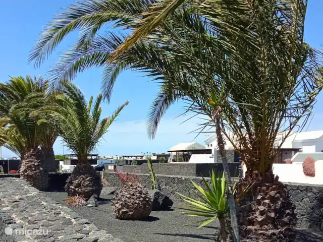 Villa Graciosa en España, Lanzarote, Playa Blanca - villa Alrededor de la villa hay un jardín de lava con palmeras y cactus.