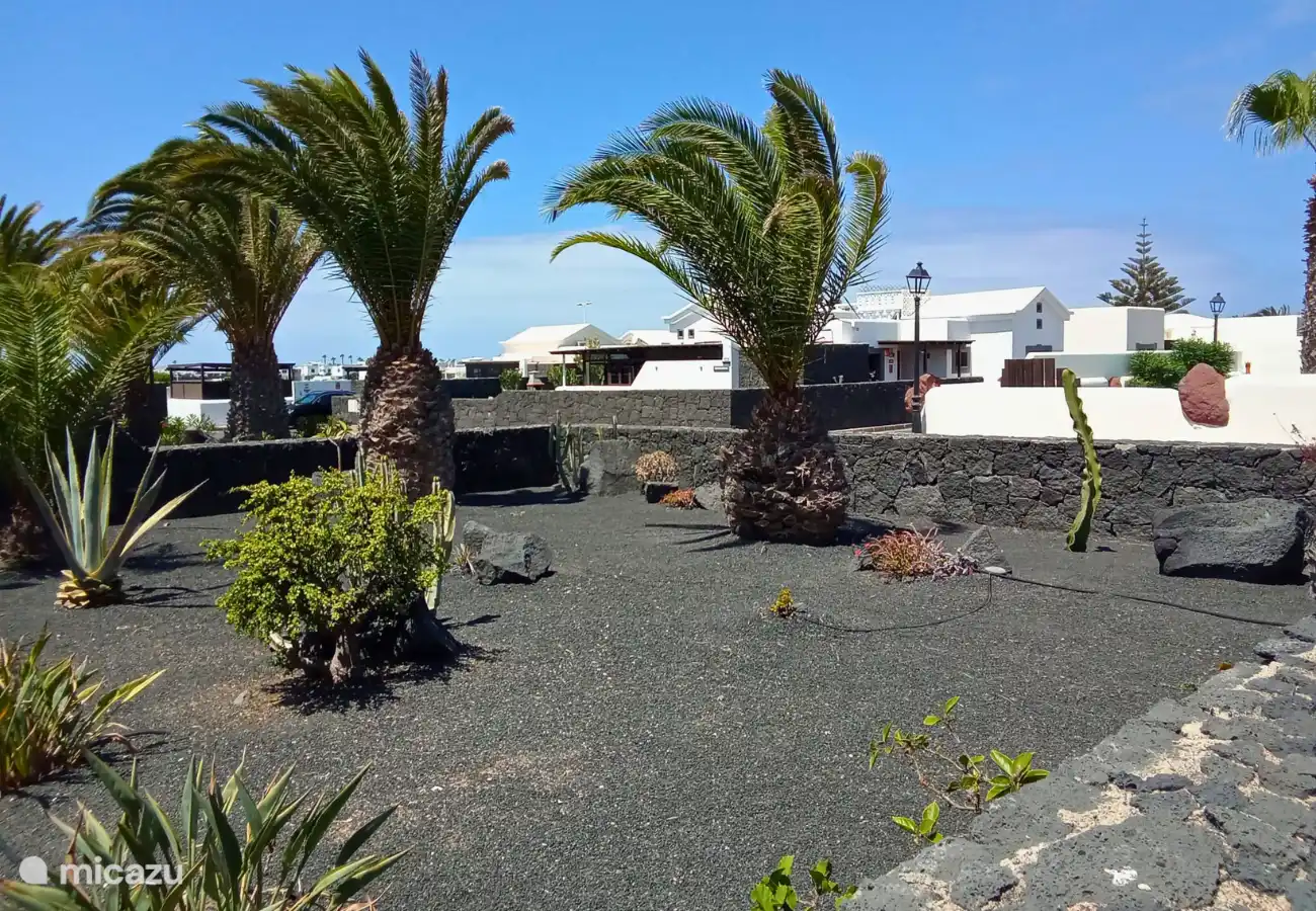 Around the villa is a lava garden with palms and cacti.