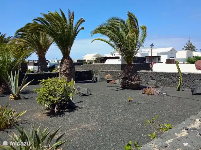 Villa Graciosa en España, Lanzarote, Playa Blanca - villa Alrededor de la villa hay un jardín de lava con palmeras y cactus.