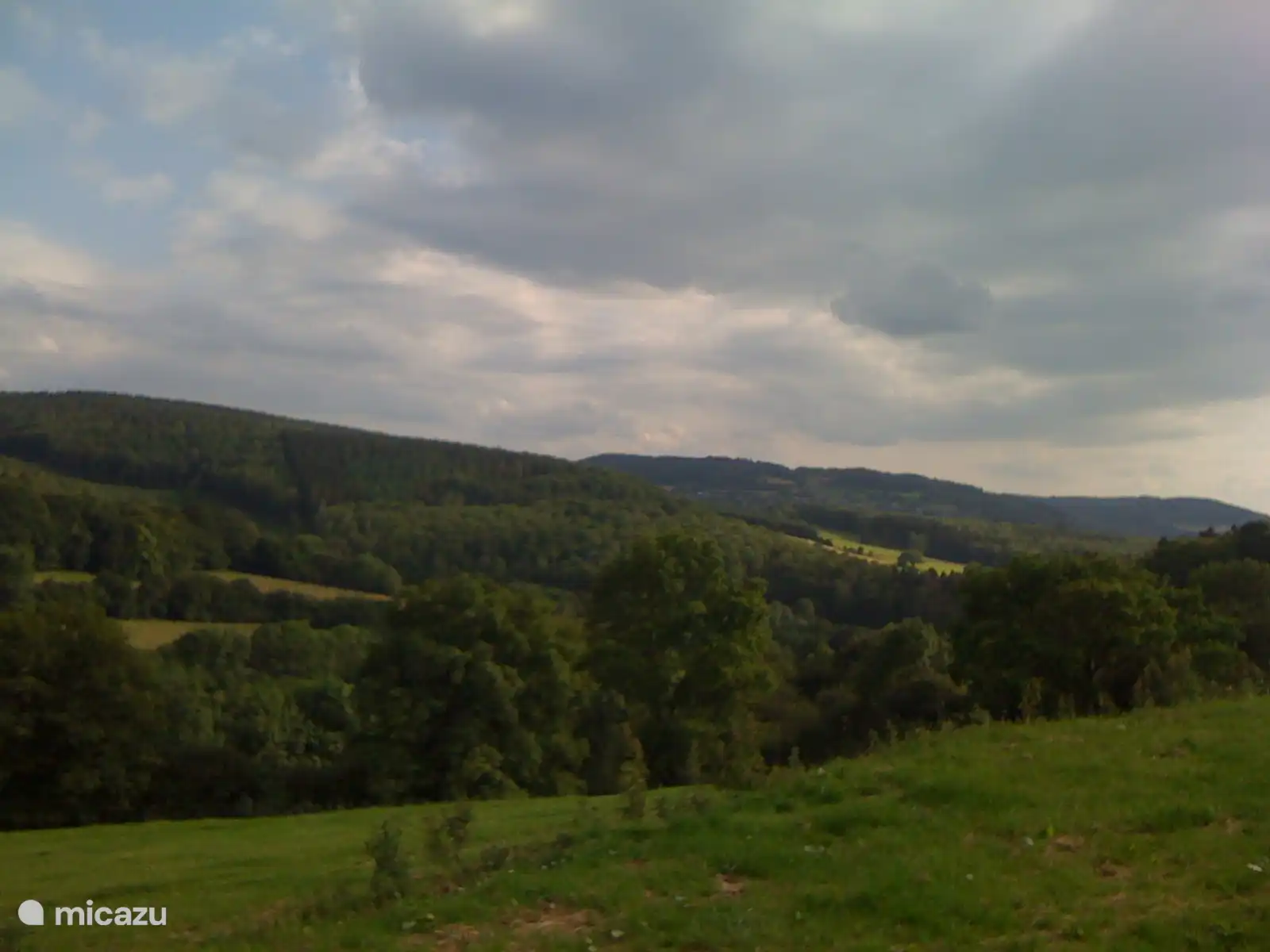 Vista de prados y colinas boscosas