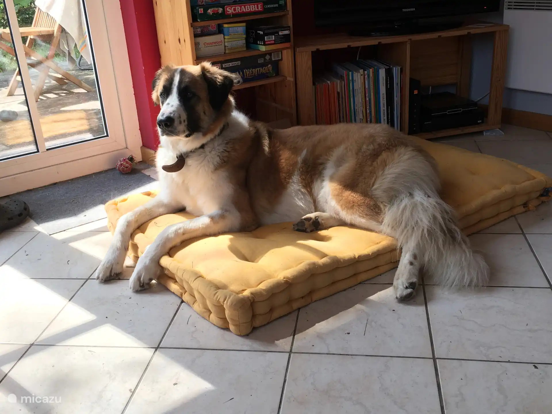 Nuestro Anatole de vacaciones en su casa de vacaciones, Le Chênelierre...