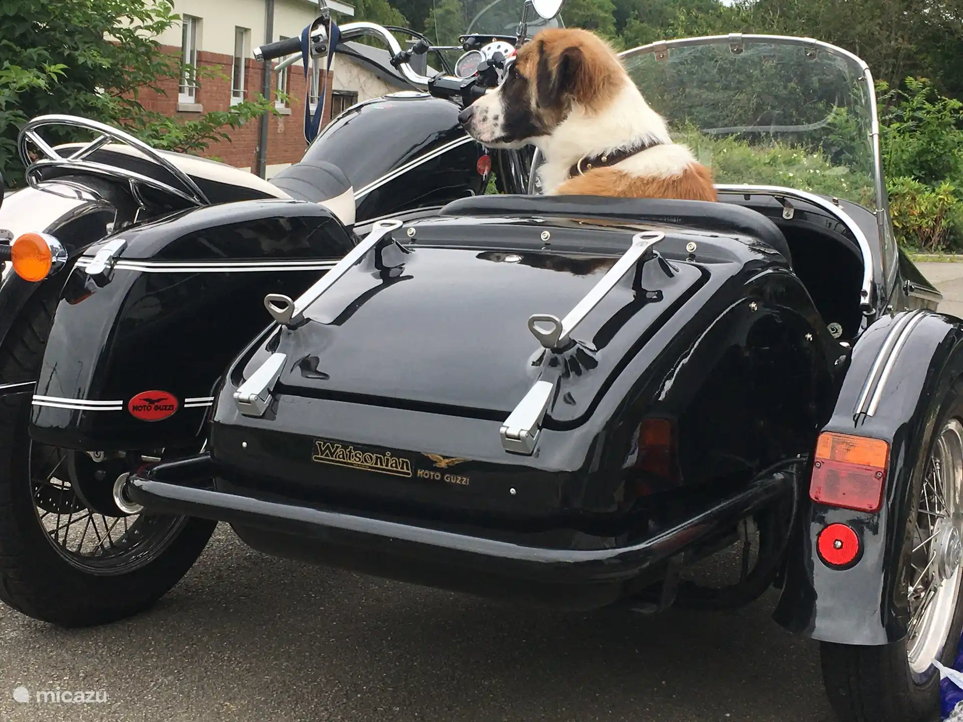 Vivan las vacaciones con mis humanos, dice nuestro Anatole, encantado de prestar su casa de vacaciones a sus amigos que son veraneantes obstinados 