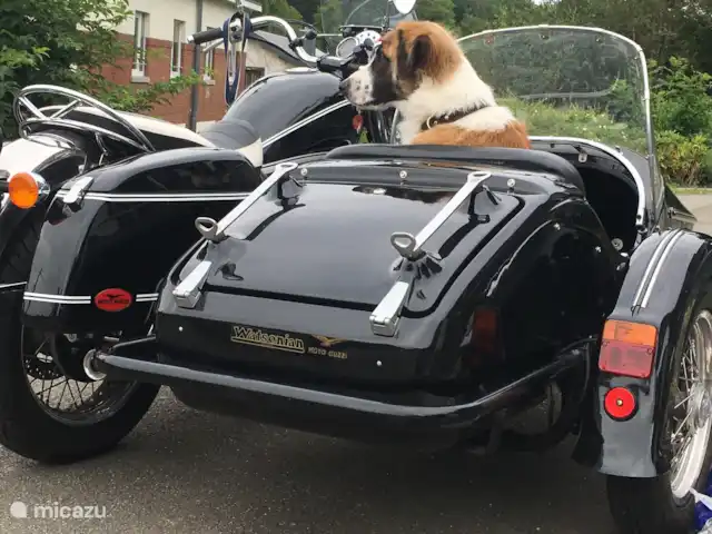 Le Chênelierre  | Belgique, Ardennes, Manhay - maison de vacances « Vive les vacances avec mes humains » dit notre Anatole, ravi de prêter « sa » maison de vacances à ses copains toutous vacanciers
