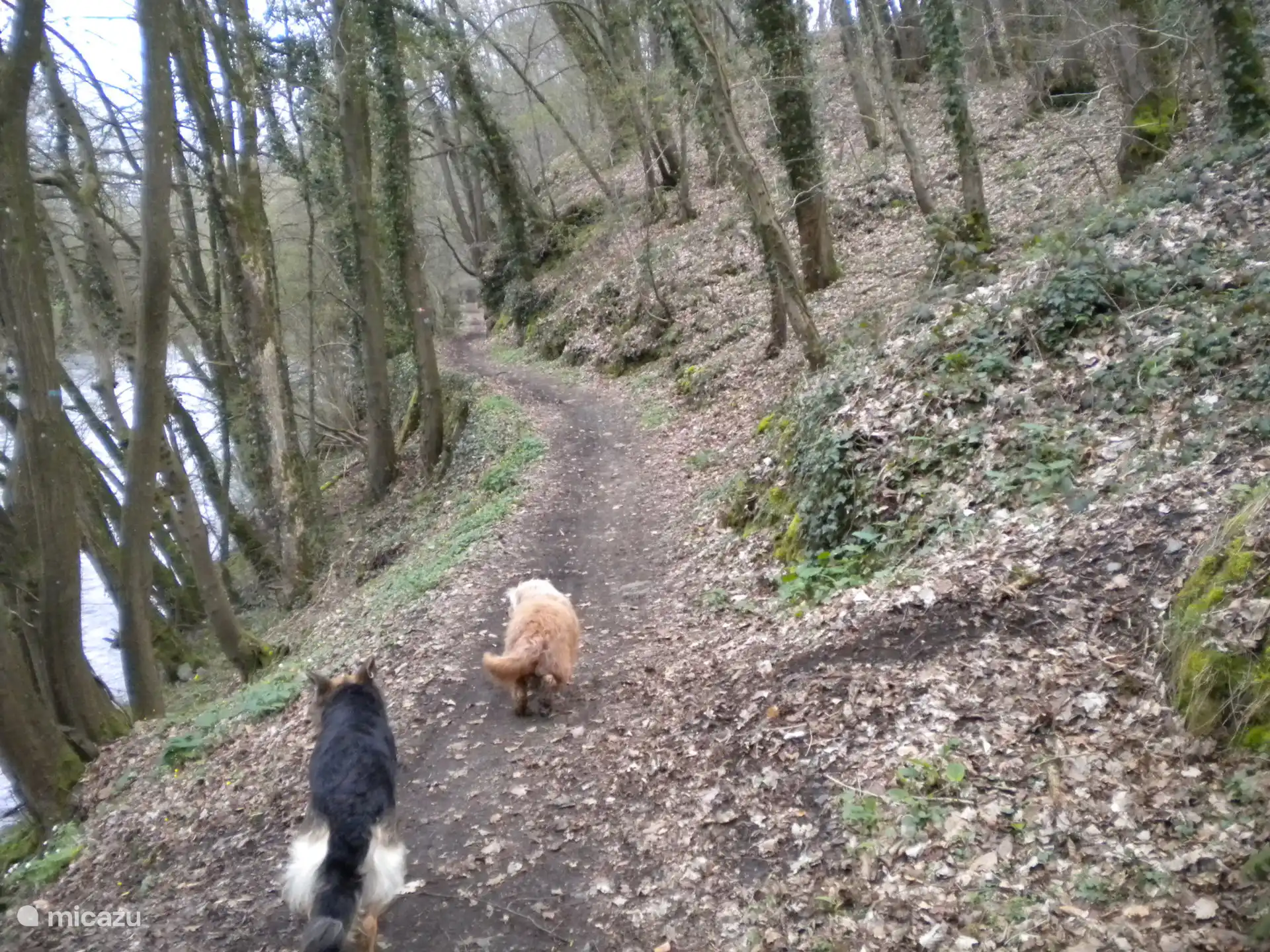 Paseo por los alrededores