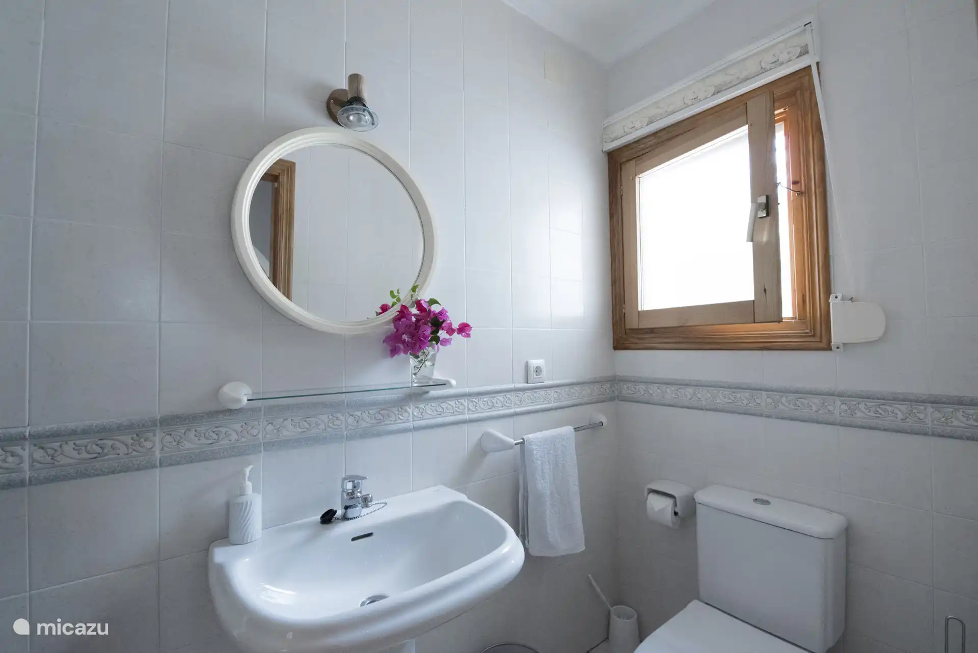 Salle de bain avec douche et WC