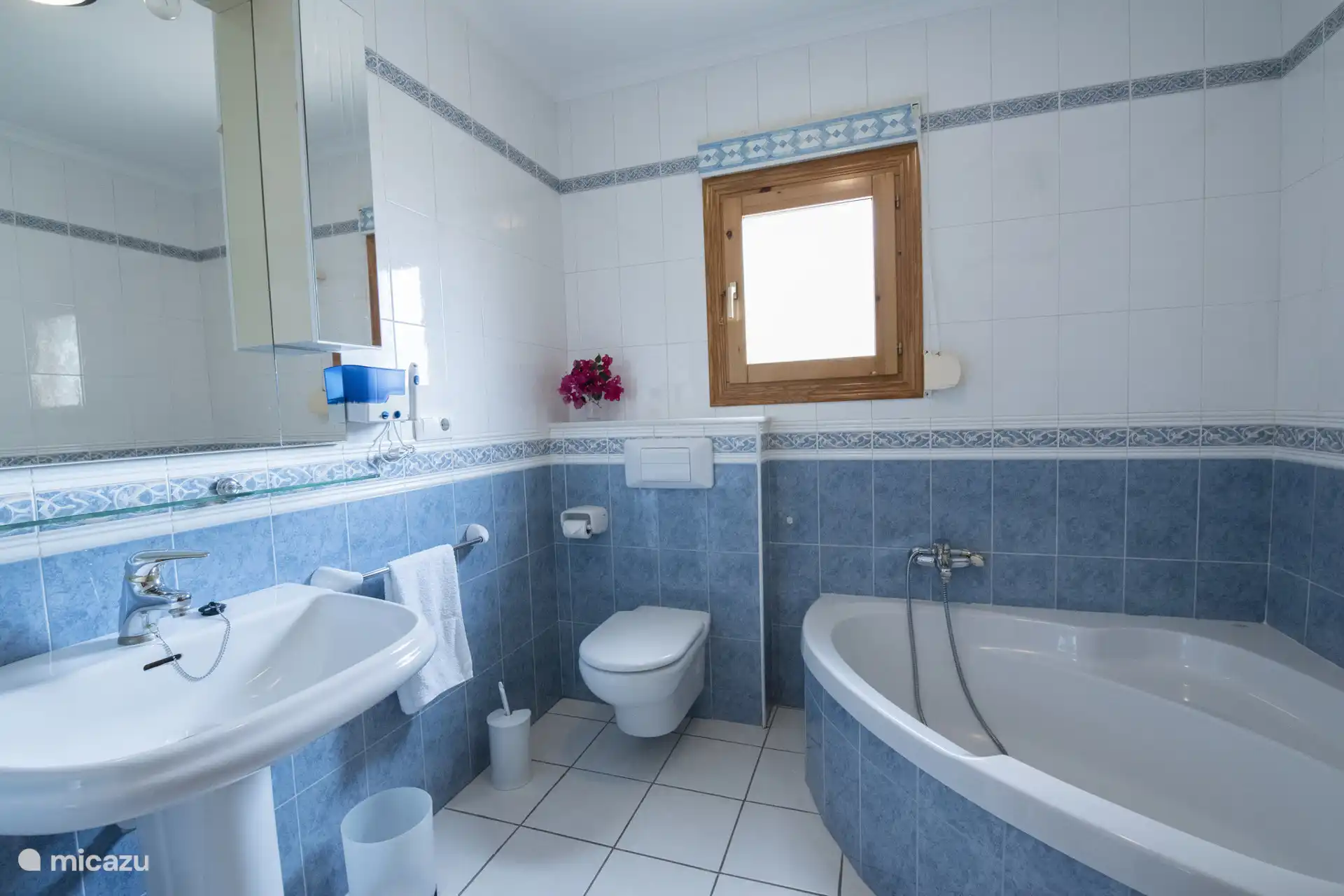 Salle de bain avec baignoire et WC 