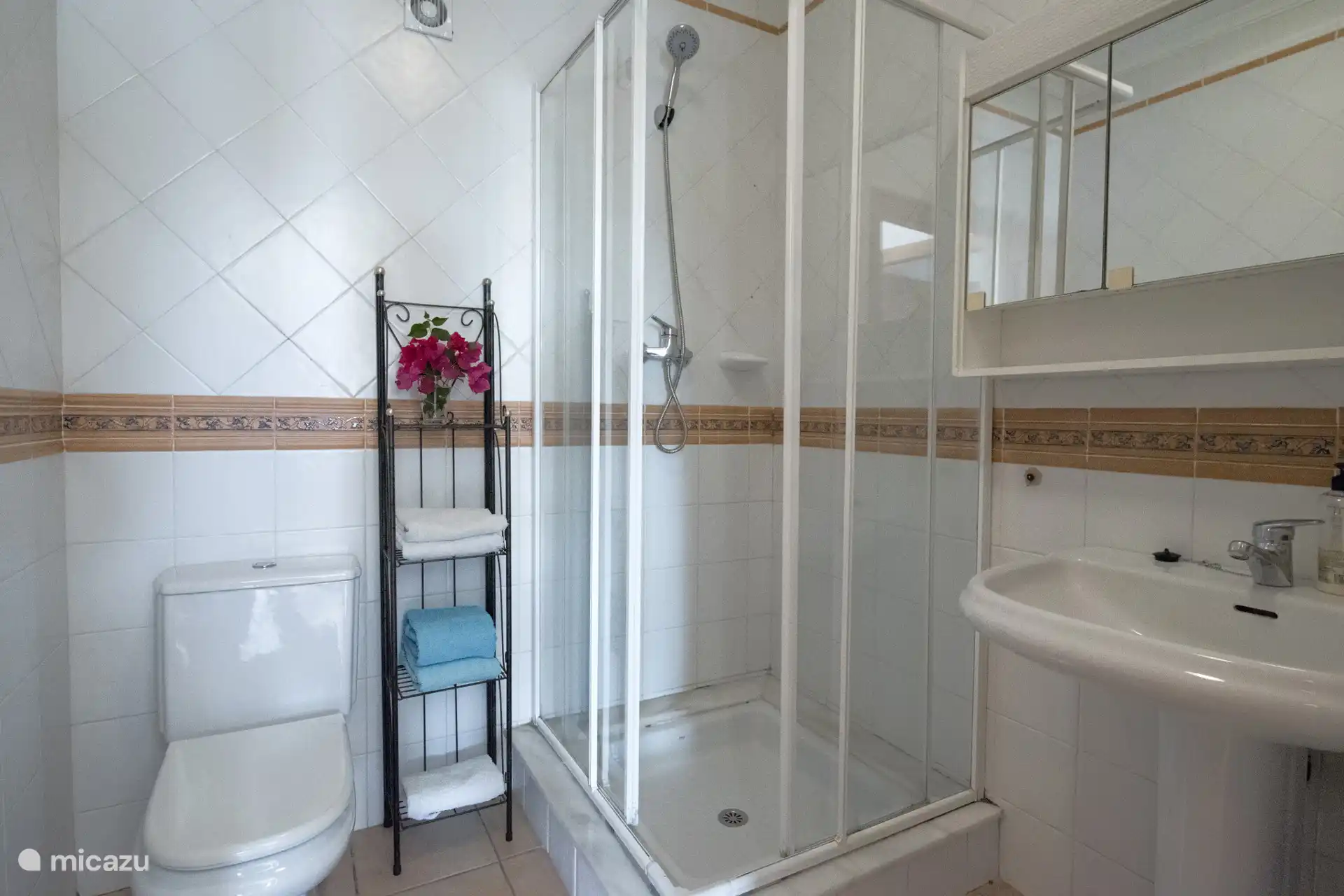 salle de bain avec douche, WC et lavabo