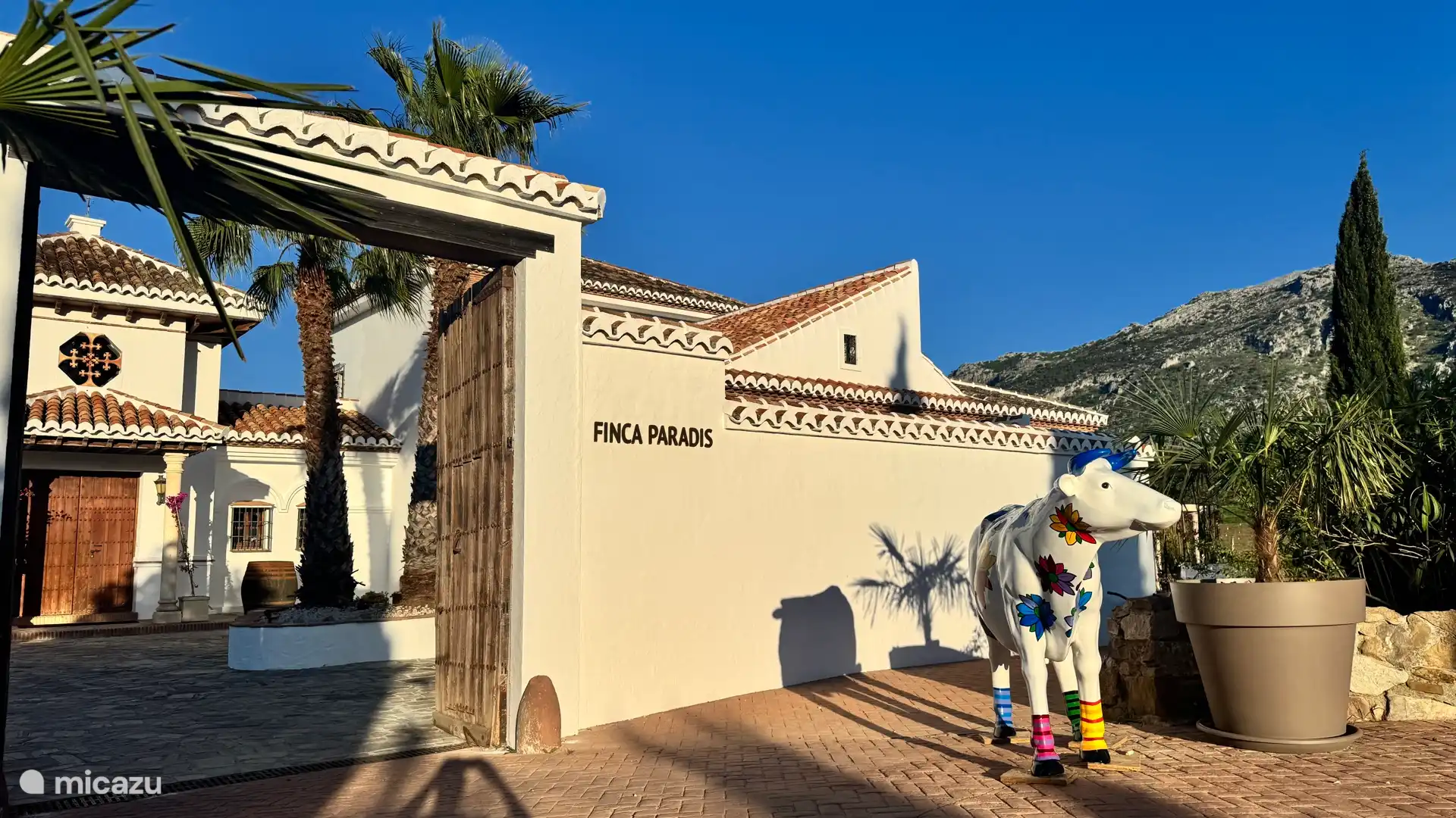 Unser Haustier, die Kuh Gabriella.