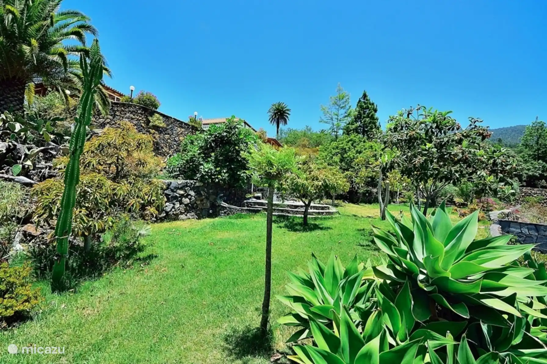 Ein geräumiger Garten.