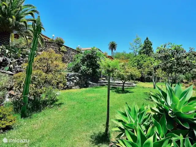 Finca Tijarafe | Espagne, La Palma, Tijarafe - villa Un jardin spacieux.