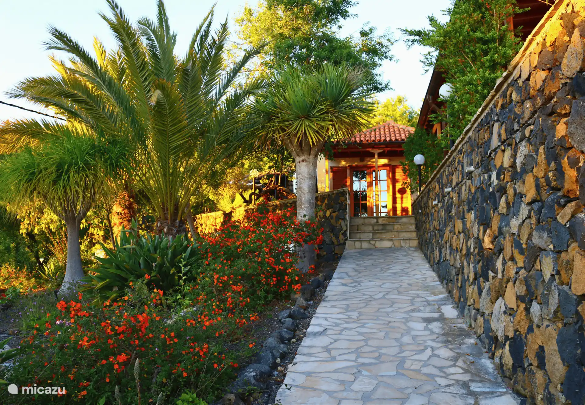 Im riesigen Garten von 4.000 m2 blicken Sie auf tropische Blumen und Palmen und können Früchte von den Mandel-, Mango- und Olivenbäumen pflücken.