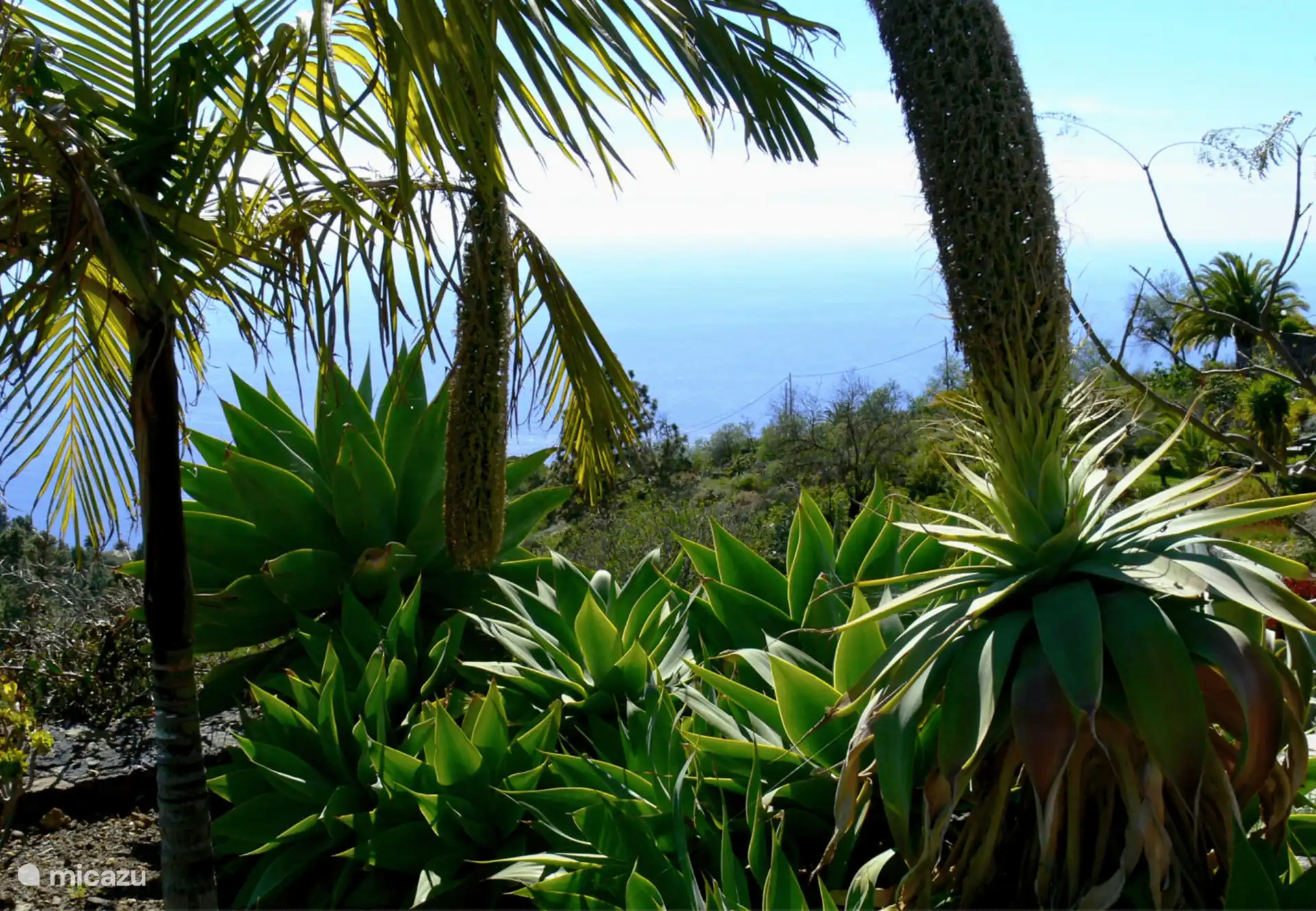 Das ist Ihre fantastische Aussicht.