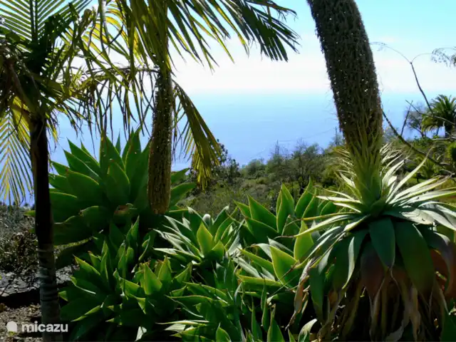 Finca Tijarafe | Espagne, La Palma, Tijarafe - villa C’est votre vue fantastique.