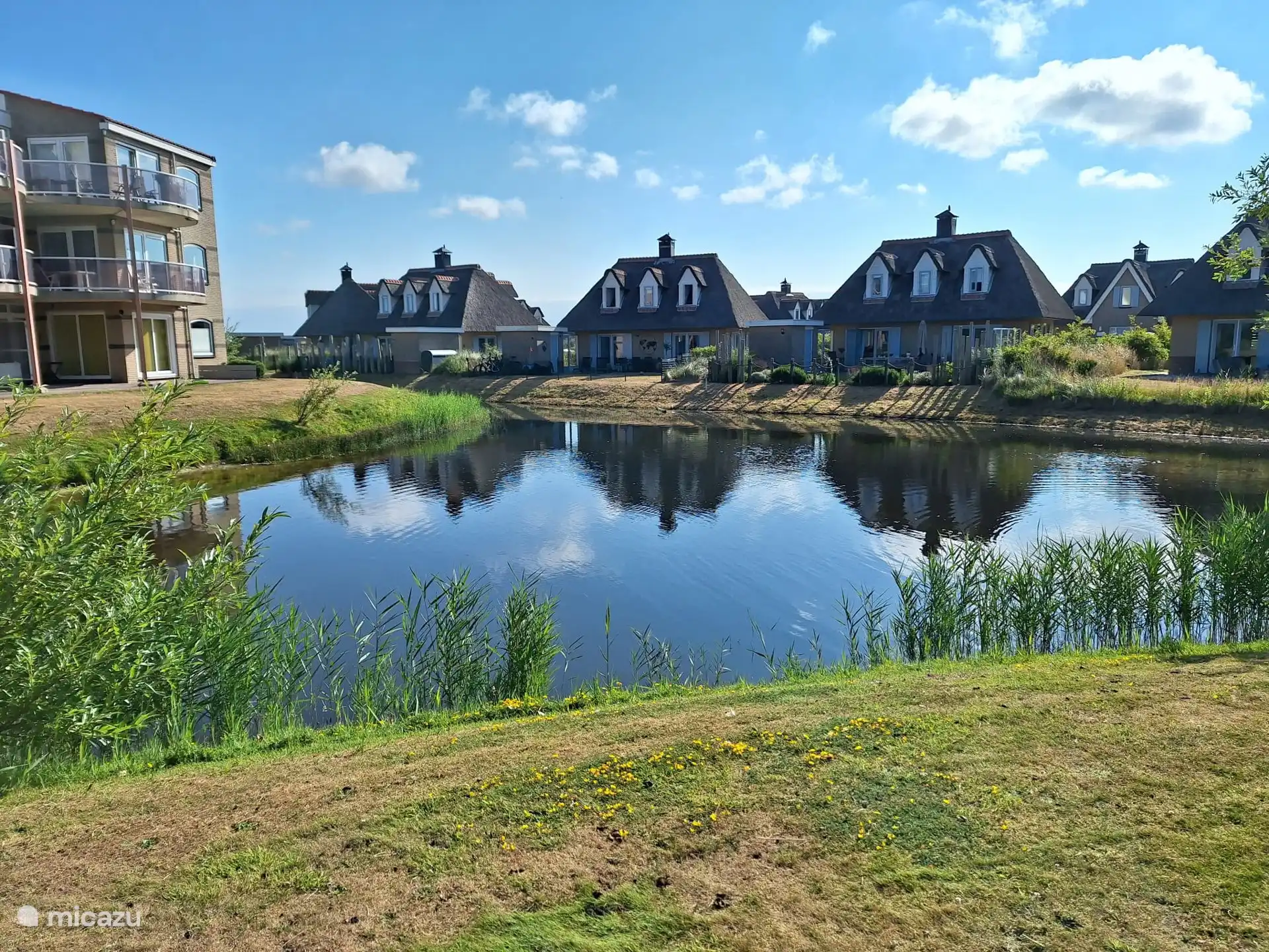 Uitzicht