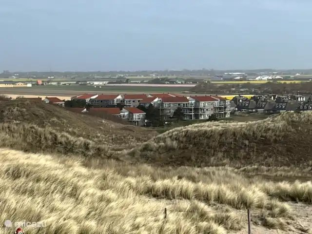 Appartement Aloha | Pays-Bas, Hollande du Nord, Julianadorp aan Zee - appartement