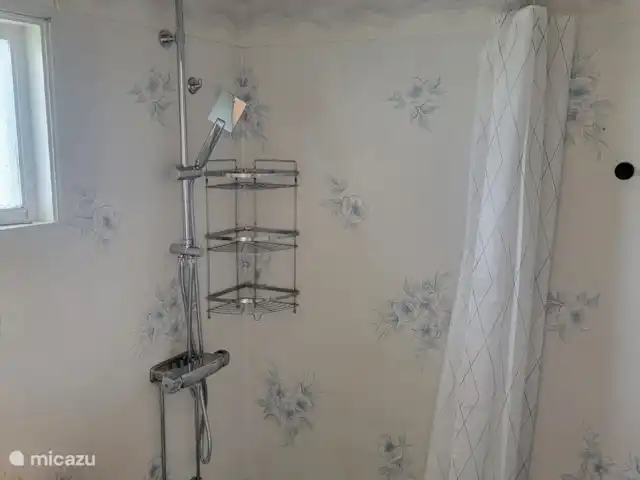 Vakantiehuis Sunny huren in Zweden, Värmland, Rada - villa Badkamer begane grond met regendouche