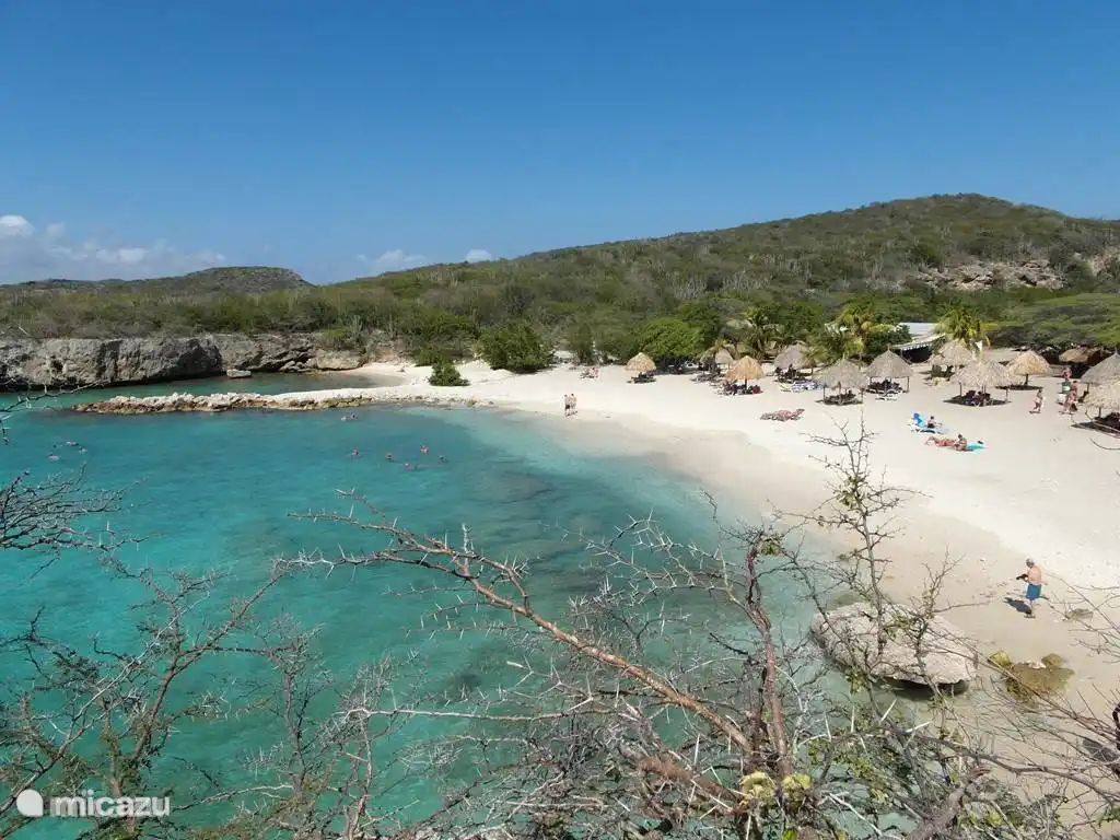 The beach of Cas Abiu. By car 5 minutes from Dushi Bida. The beach is in the top 20 of the most beautiful beaches in the world
