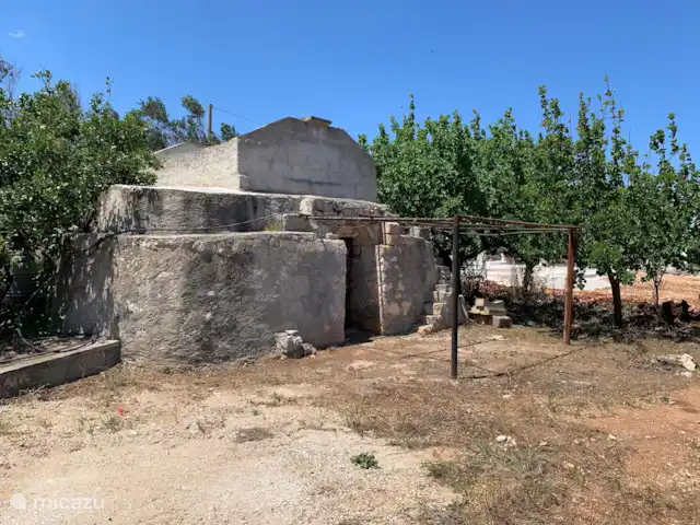 Casa di Torba Bianca | Italie, Pouilles (Puglia), San Vito dei Normanni - maison de vacances L’authentique lamia (maison de campagne italienne) est située au début du verger. Nous le rétablirons ultérieurement