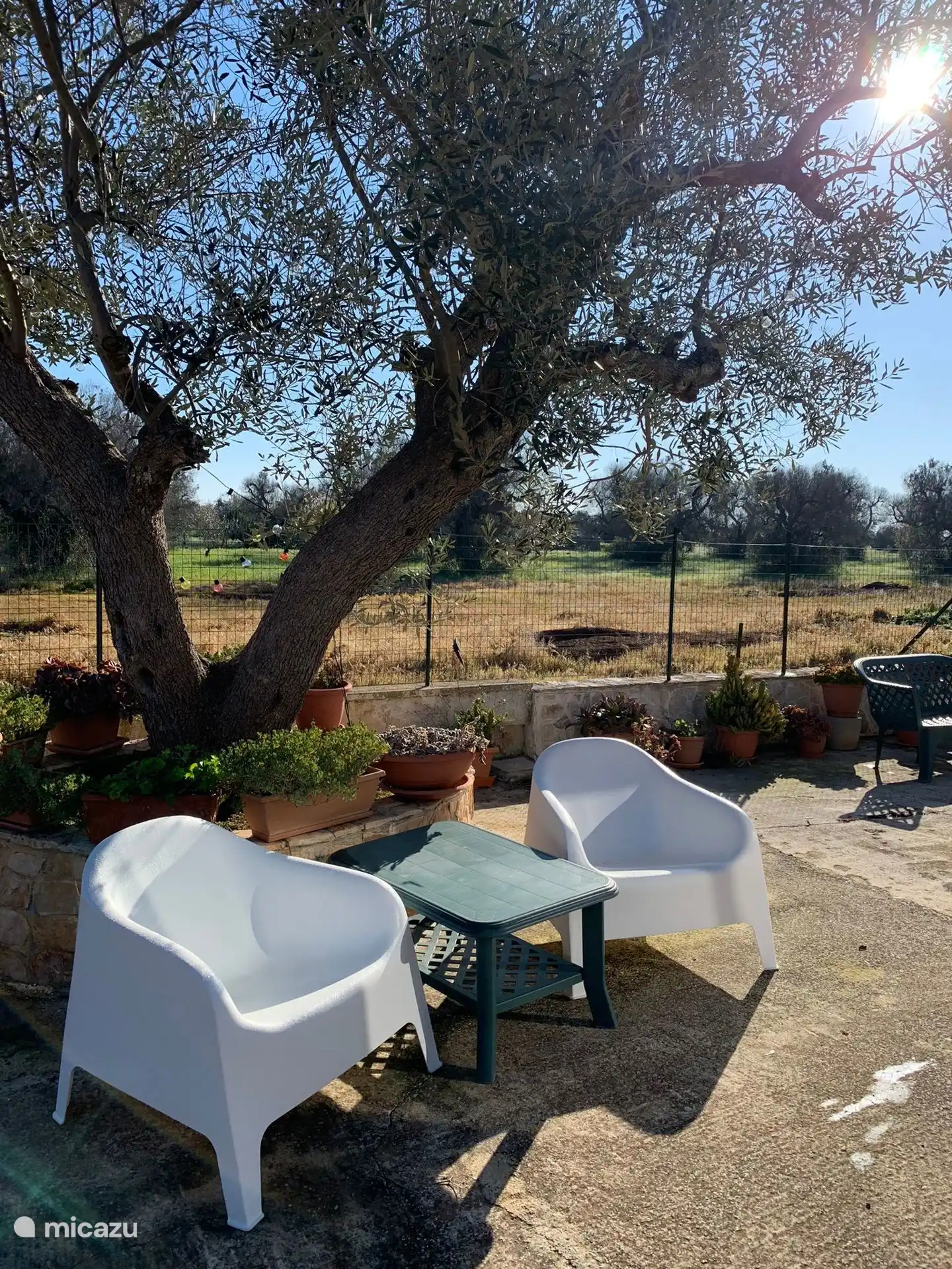 Freier Blick über das Ackerland und die Olivenhaine, wunderbar zum Entspannen hier