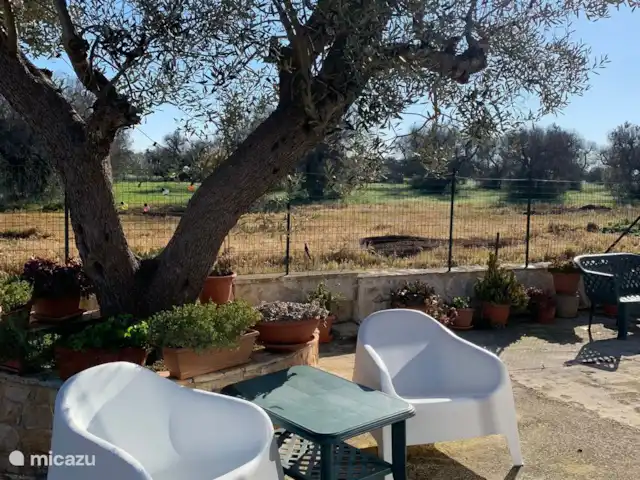 Casa di Torba Bianca | Italie, Pouilles (Puglia), San Vito dei Normanni - maison de vacances Vue imprenable sur les terres agricoles et les oliveraies, merveilleux pour se détendre ici
