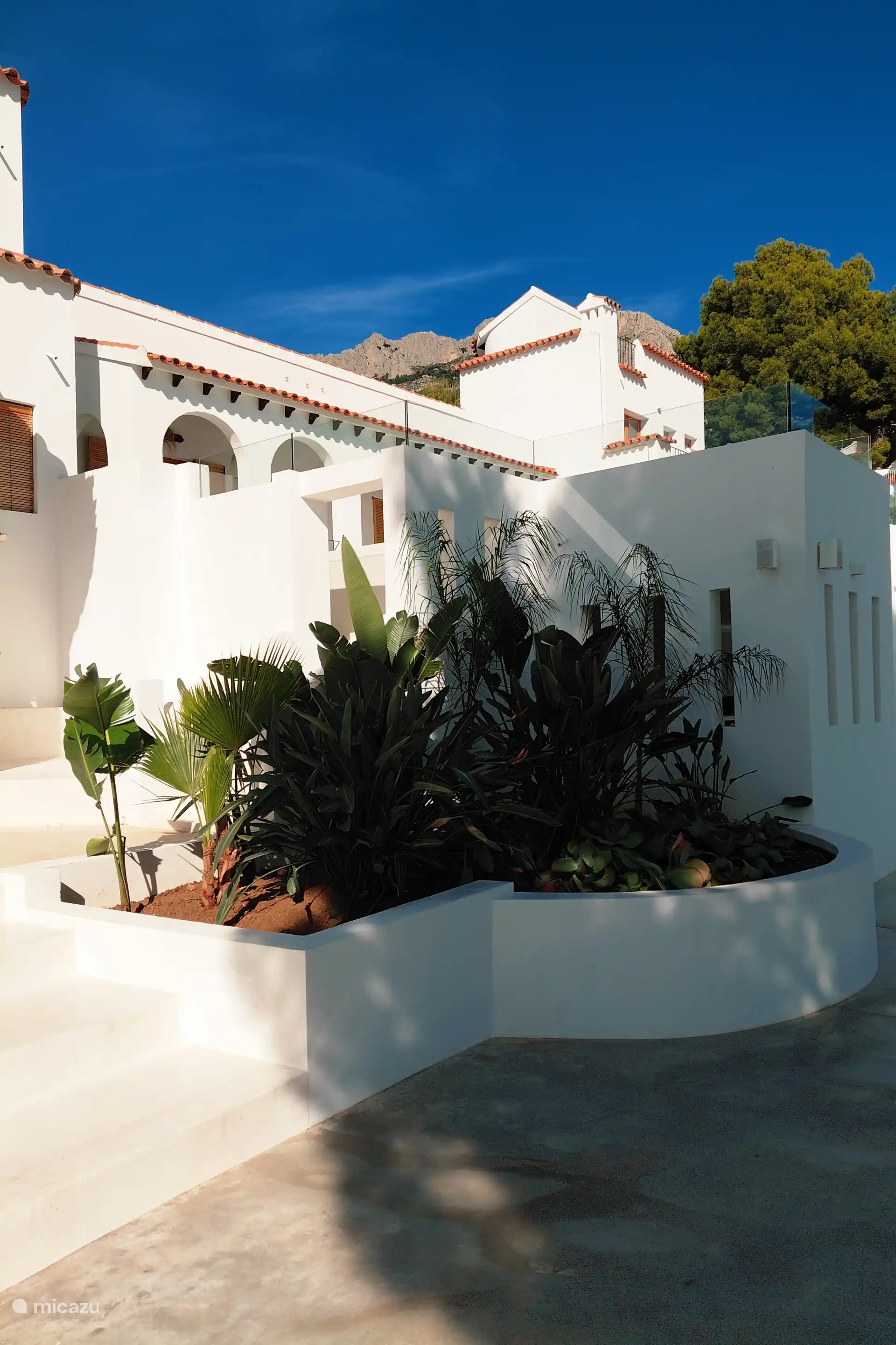 Coin plantes exotiques