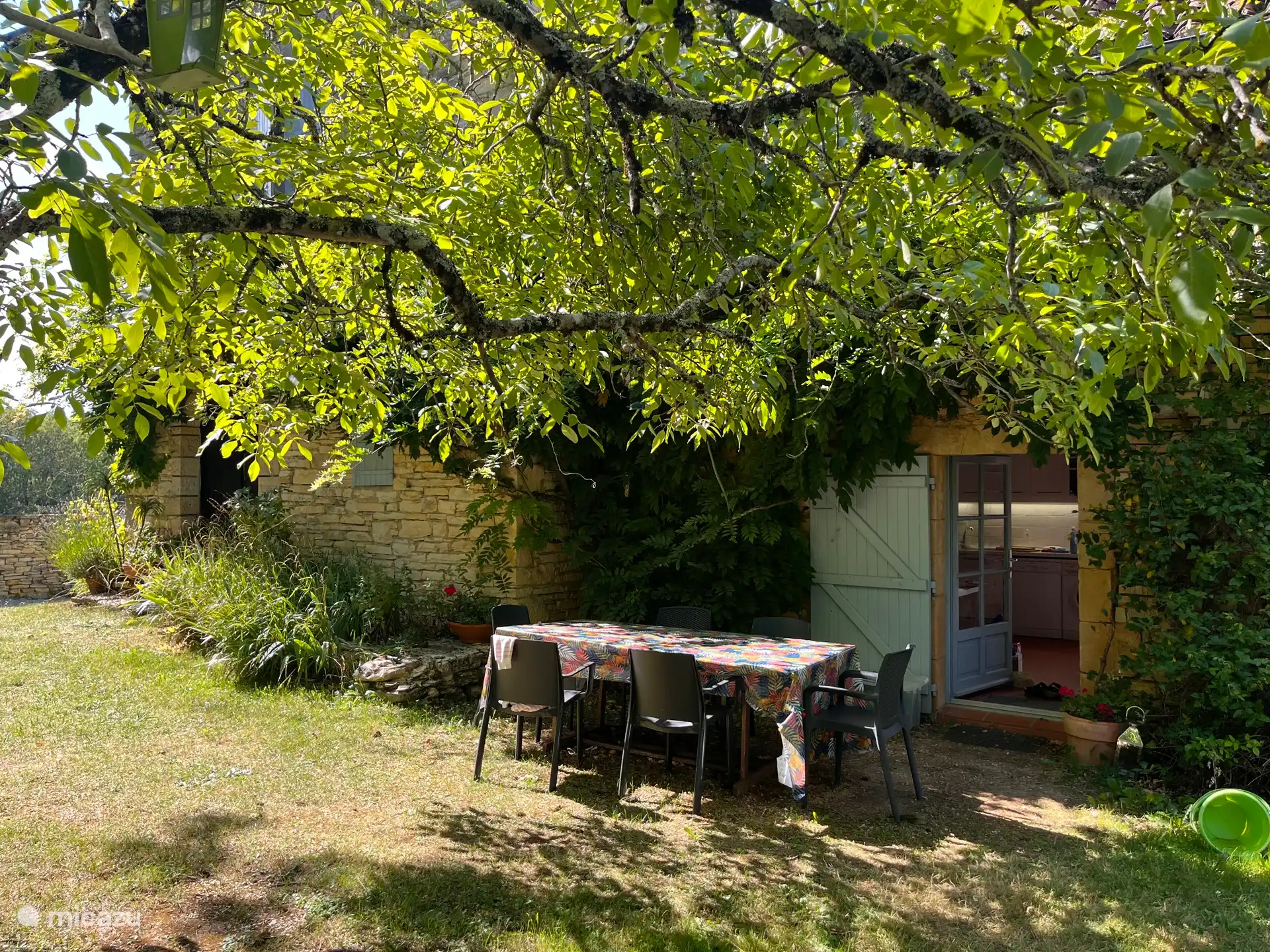 Comedor exterior delantero 