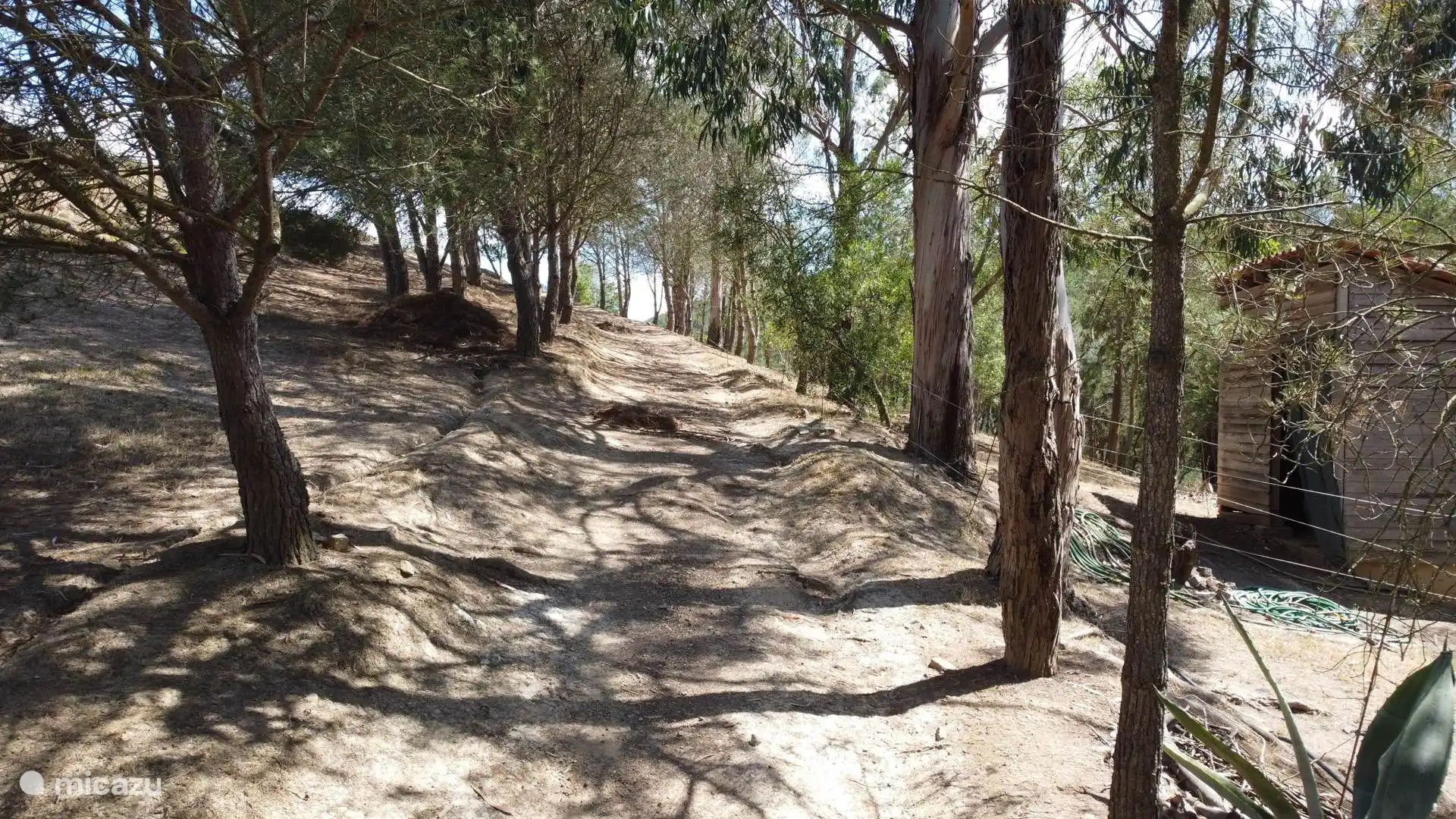 Le terrain (et le sentier pédestre jusqu’au sommet de la colline)