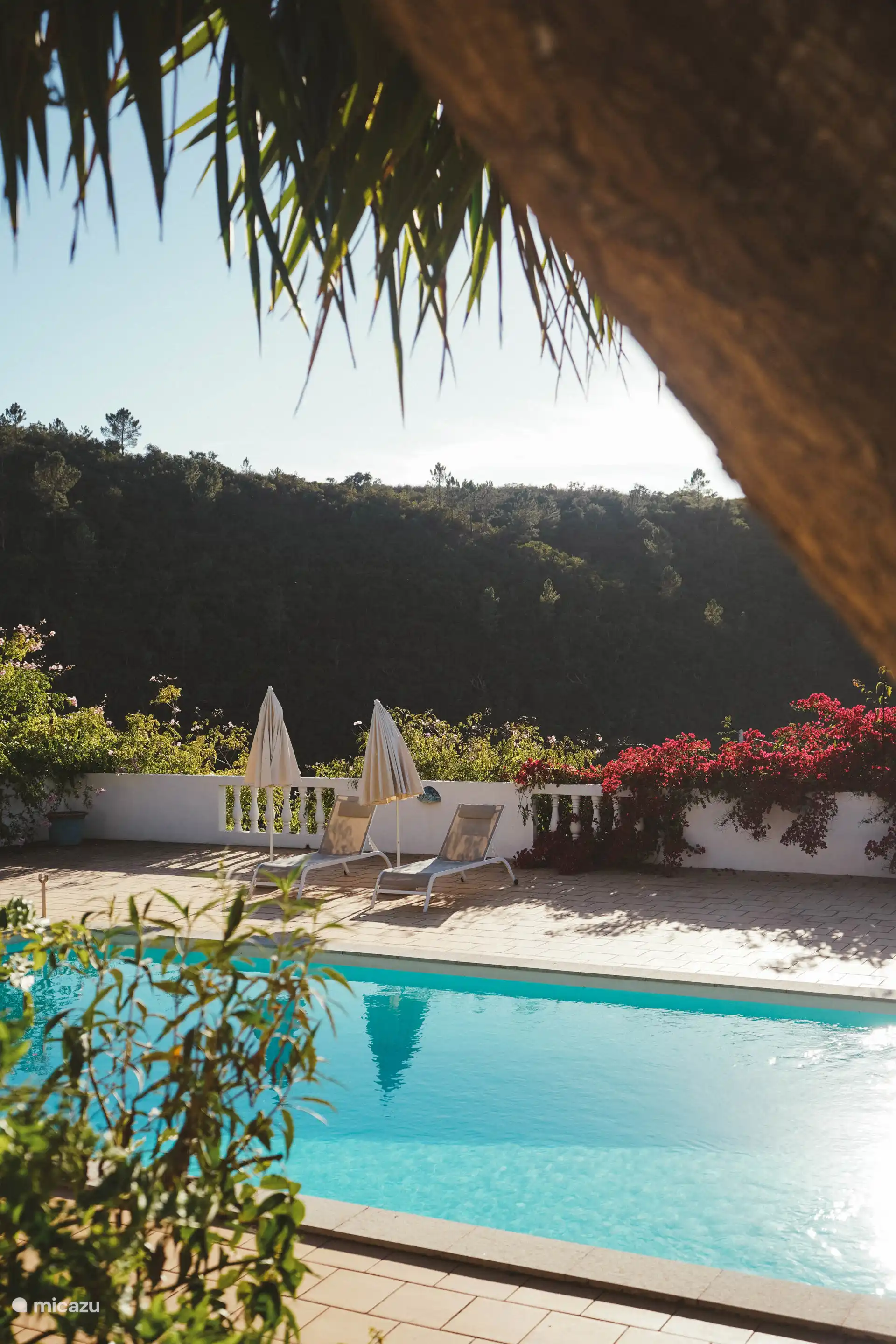 Randonnée, Portugal, Algarve, Aljezur, maison de vacances Quinta do Topo (Nouveau sur Micazu !)