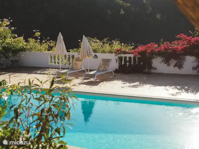 Quinta do Topo (Nouveau sur Micazu !) | Portugal, Algarve, Aljezur - maison de vacances Quinta do Topo (Nouveau sur Micazu !) | Portugal, Algarve, Aljezur - maison de vacances