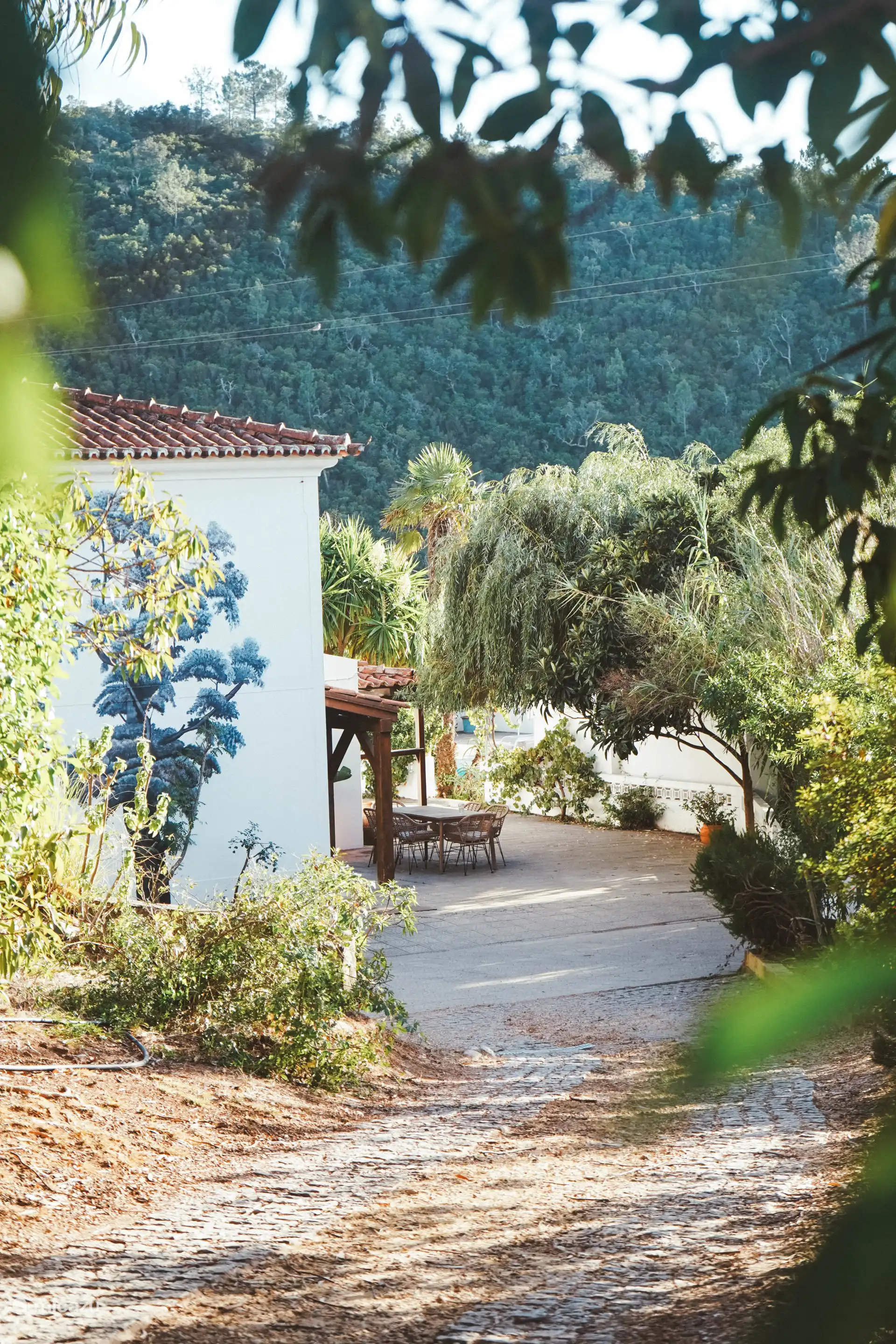 L’entrée et la terrasse