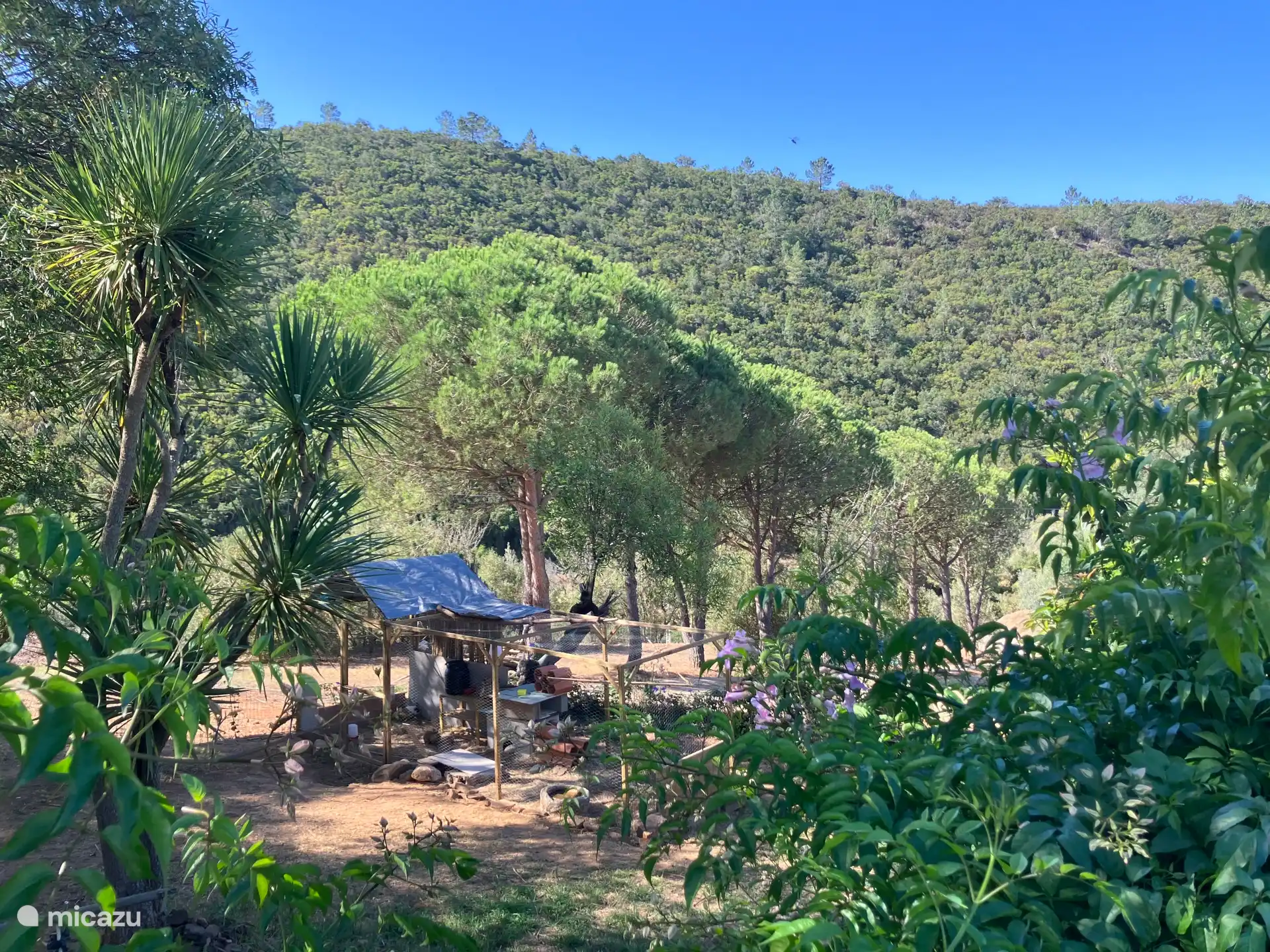 L’espace animalier