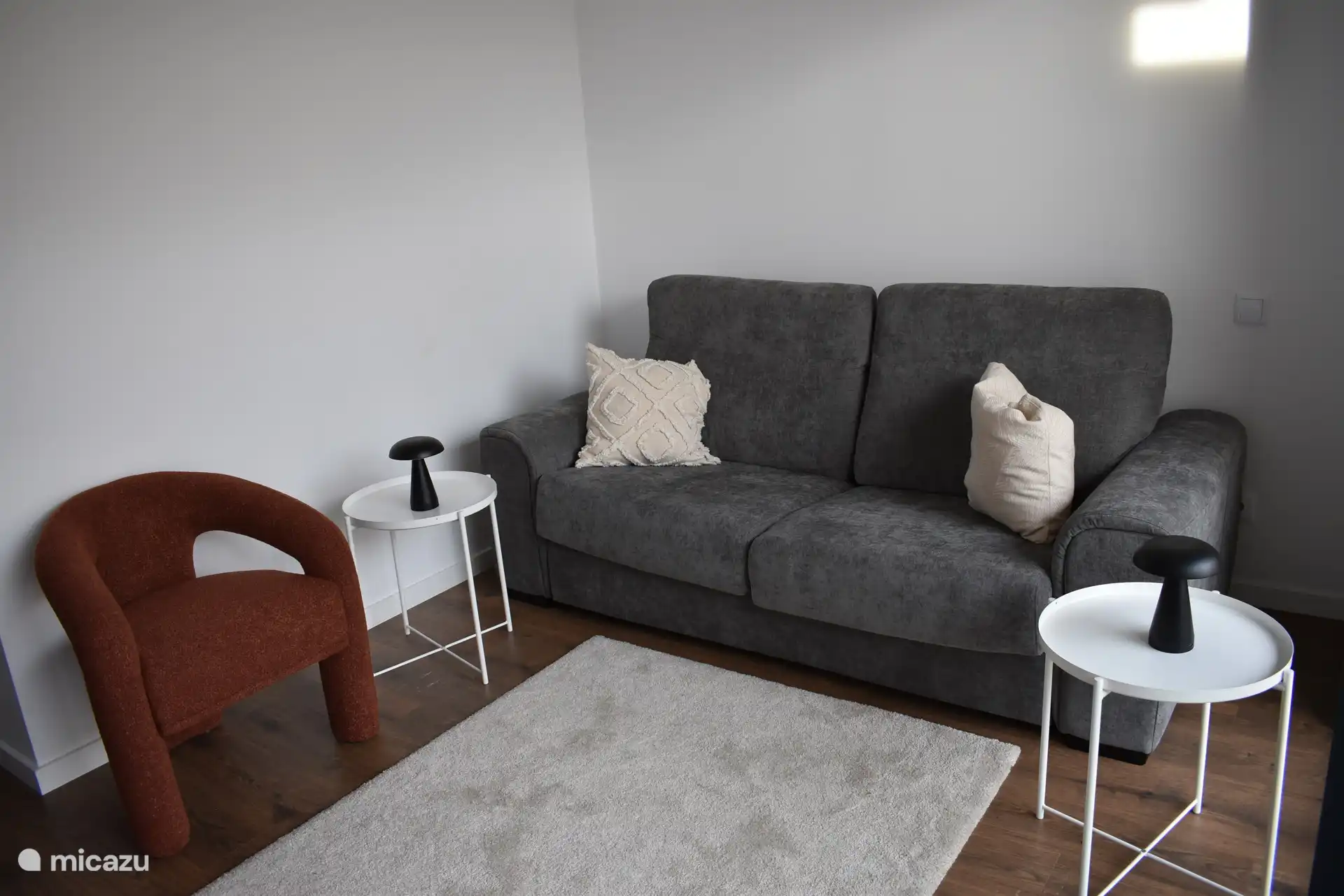 Salle TV avec canapé (lit couche)