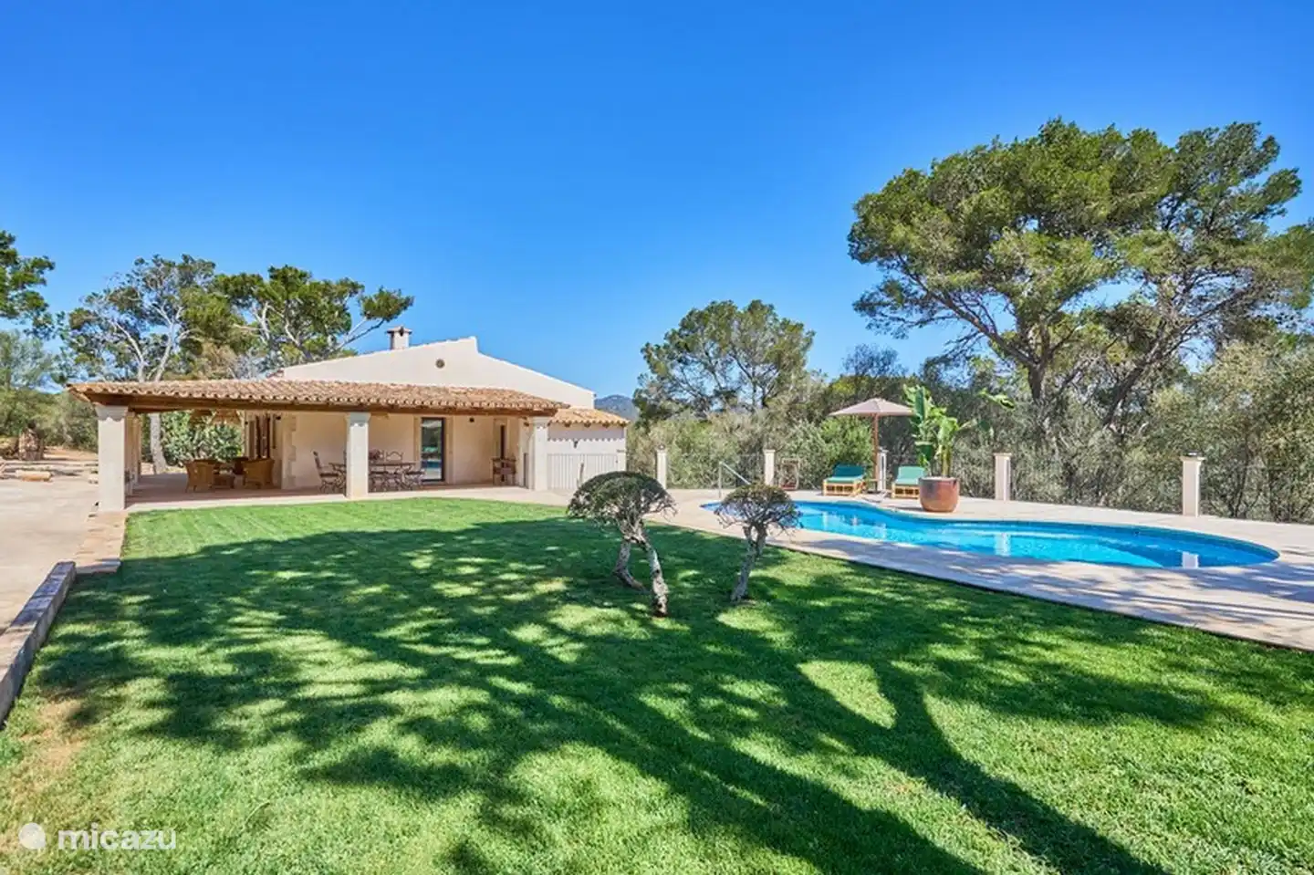 Garten, Pool und Veranda