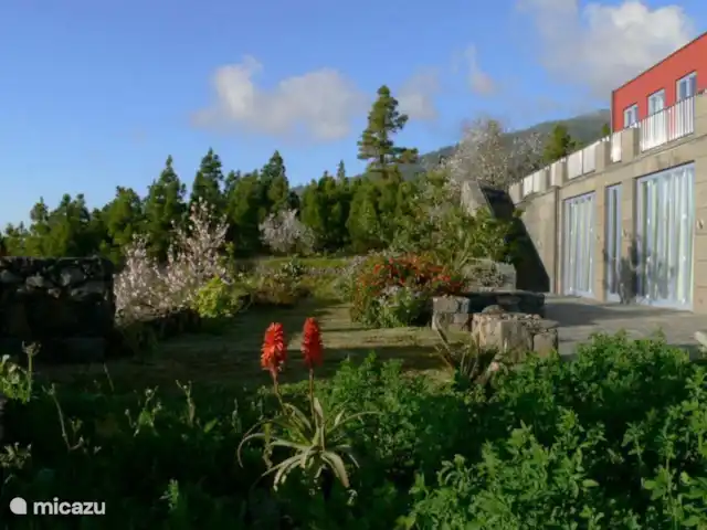 Villa Atlántico  en España, La Palma, Tijarafe - villa En el enorme jardín de 4.000 m2 se asoman las flores tropicales y las palmeras y se pueden recoger frutos de los almendros, mangos y olivos