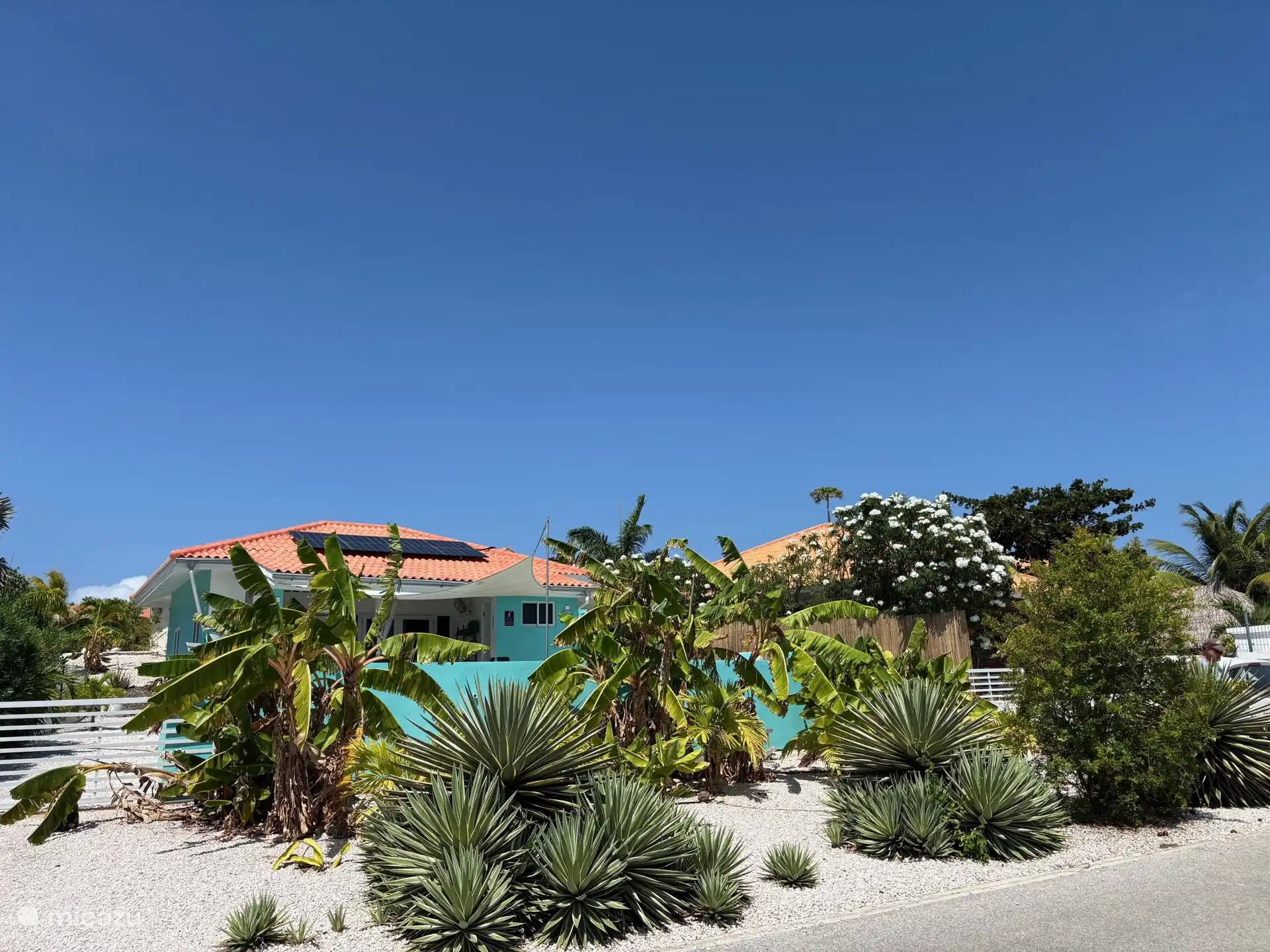 De woning is omgeven door groen.