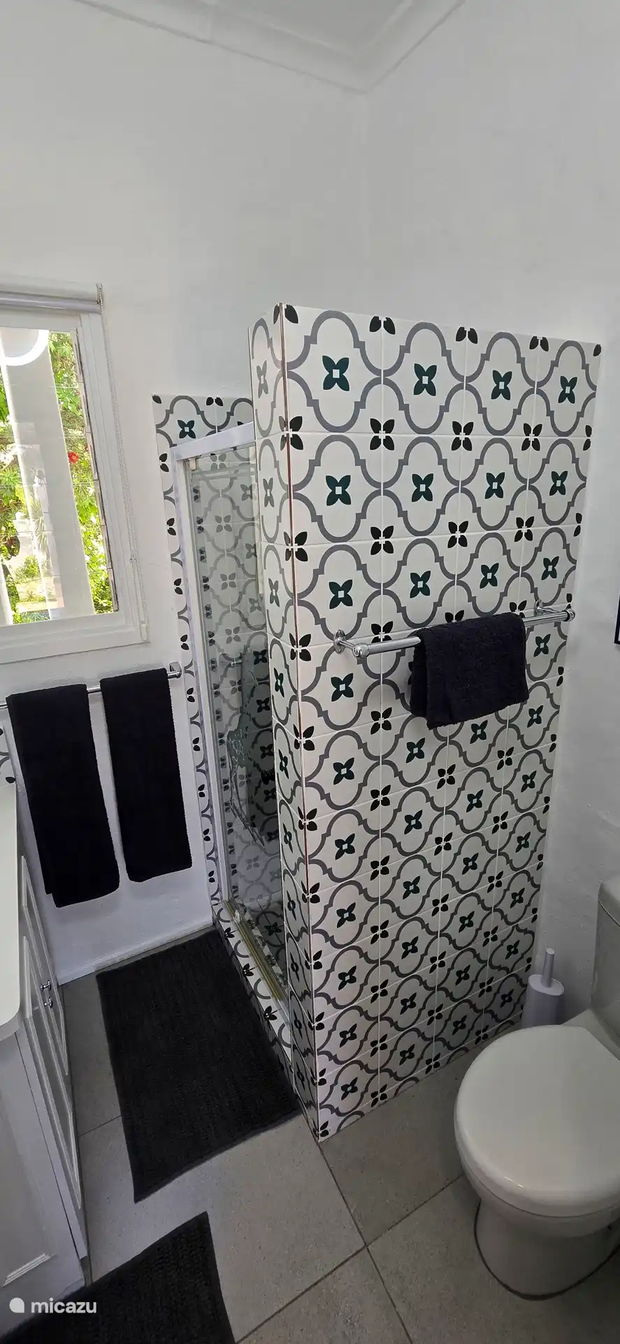 Geräumige Dusche und WC