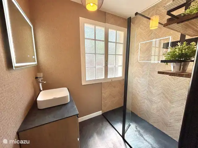 Location de Vacances France, Dordogne, Château-l'Évêque, villa - Hakuna-Matata à 8 min de Périgueux Salle de bain au rez-de-chaussée